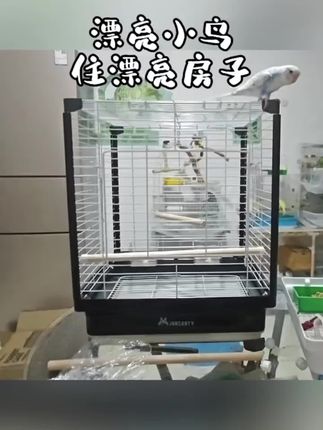 新款鹦鹉鸟笼熊猫黑家用虎皮牡丹玄凤专用大型笼子豪华