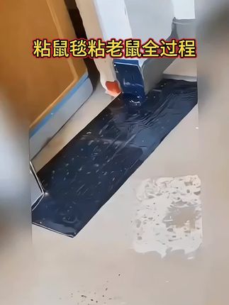 餐馆店铺粘老鼠捕鼠就用这款大尺寸粘鼠板#粘鼠板#老鼠贴#捕鼠#三伏养生局 #暑期萌娃穿搭