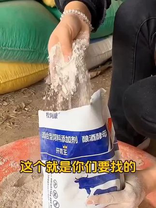 #育肥牛#农村养牛#育肥肉牛犊肉牛养殖 #肉牛养殖 #牛羊养殖
