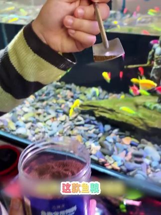 缓沉型高蛋白鱼粮