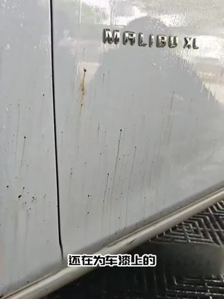 很多车主不知道,跑高速沾到的沥青,停车时被贴到烦人的小广告,小孩乱涂乱画的自喷漆可以用这个柏油清洁剂清除掉的