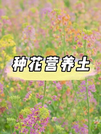 有机营养土来活动啦,养花种菜栽果树种多肉都不在话下,性价比超高