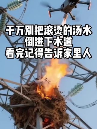 马桶堵了别急!试试#管道疏通泡泡粉,强力疏通,不伤管道,省事又省心!#管道疏通 #下水道疏通 #除异味
