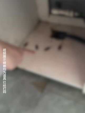 家里有蟑螂的看过来,这个蟑螂诱饵方便贴是个不错的选择,小巧方便,卫生!关键灭蟑效果好! #灭蟑胶饵 #蟑螂#环犇