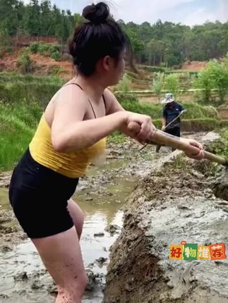 #冰糖籽甜瓜种子!香甜可 口#适合阳台小院四季种植 ,冰糖籽甜瓜种子!家庭种植,甜瓜,阳台小院均可种植