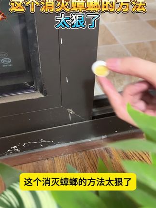 你家年年都有蟑螂?专业消杀公司教你一招!#杀蟑胶饵 #灭虫小妙招