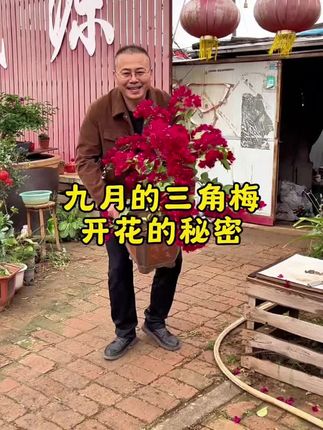 养花不开花,可以直接用它很快花开爆满盆!