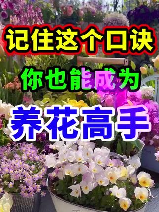 要想植物长得好,叶生命必不可少。
