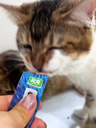 笑宠鱼油猫条!高纯度鱼油,防掉毛增肥发腮,成幼猫营养零食