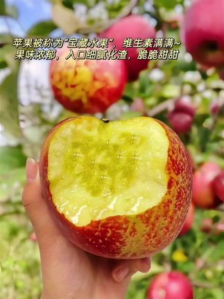 云南昭通红露丑苹果冰糖心应季新鲜水果红富士脆甜多汁5斤包邮