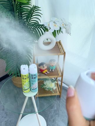 朋友来我家之前,我都会用这个#空气清新剂 喷一喷,快速分解异味,持久留香#除异味 #空气清新剂推荐