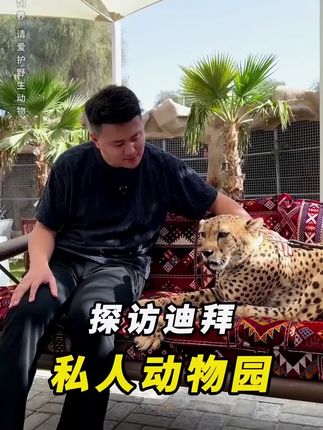 用车载香薰洗衣服是种什么感觉?#车载好物 #汽车除味 #车载香薰