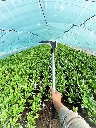 双砍镰刀,砍柴割草都能使用,携带方便!#镰刀 #五金推荐 #农用工具 #好物推荐 #助力三农