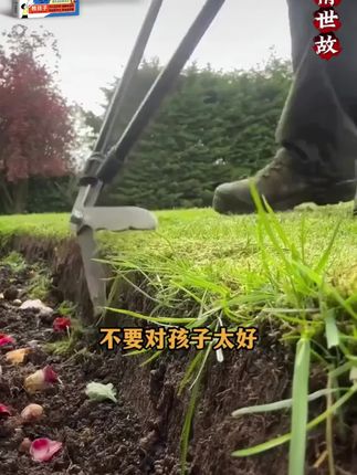 暑期爆款 | 这才是孩子该看的漫画书,推荐在你孩子15岁之前,给他看看这本《漫画版人情世故》#童书#人际交往#情商提升