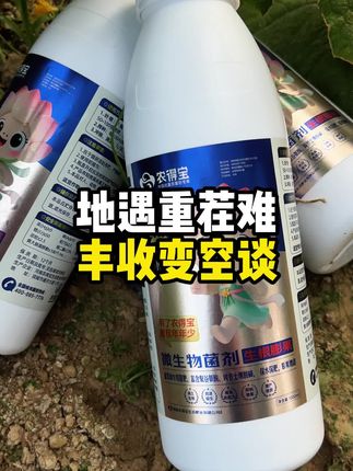作物品质产量咋提升?农得宝抗重茬菌肥来助力,效果看得见!