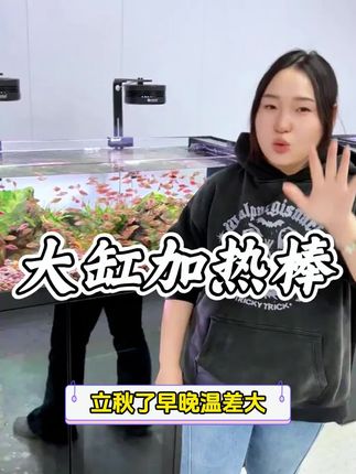 高性价比加热棒!防爆安全还省电,买一送温度计,操作简单,长辈养鱼少操心