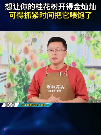 #桂花 很贪吃你知道吗?#桂花树 #家庭养花 #养花小知识