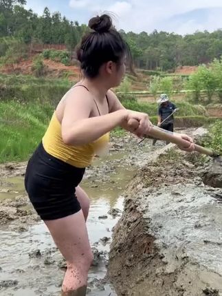 #冰糖籽甜瓜种子!香甜可 口#适合阳台小院四季种植 ,冰糖籽甜瓜种子!家庭种植,甜瓜,阳台小院均可种植
