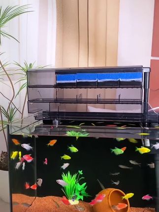 这款鱼缸过滤器卖爆了!再也不用担心鱼缸水质问题了!