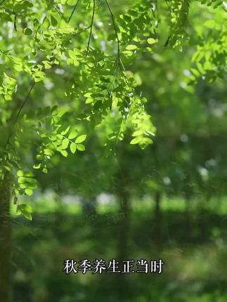 散养土鸡蛋,能让你吃到小时候的味道,现捡现发#原生乡村生活##土鸡蛋#