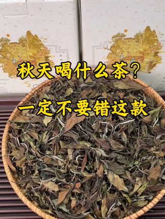 福鼎白露寿眉,好的回头客,喝过忘不了的好茶!
