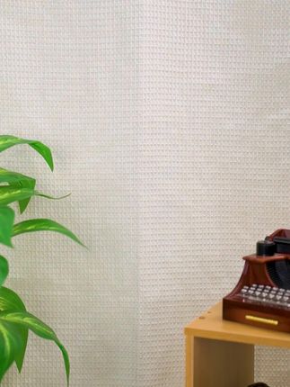 太古汇8000多,而同样的品质和做工,我们代工厂只要这样