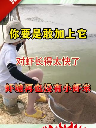 开春虾塘放苗后如何快速养出二十头大虾?#对虾#南美白对虾#罗氏沼虾#养虾人#土塘养虾#小棚虾#水产养殖
