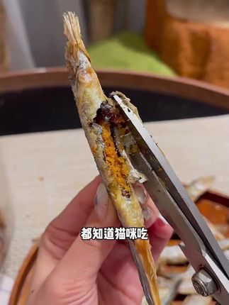 冻干多春鱼猫咪零食增肥发腮营养补钙满籽小鱼干磨牙成幼猫粮零食
