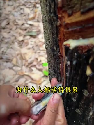 这才是孩子爱看的书,《少年智谋天下》教会孩子用谋略思维解决生活中的问题,提高孩子的情商和眼界#强者思维 #育儿