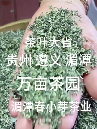 贵州毛尖,浓香型,带有满满的豆香板栗香,适合偏重口人群,主要针对中老年群体,
