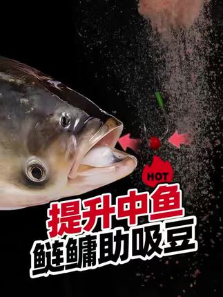 鲢鳙助吸豆 浮钓鲢鳙下钩助喜豆4—6mm大钩小钩都能用,提高钓鲢鳙正口上鱼几率!鲢鳙魔豆#鲢鳙 #鲢鳙助吸饵 #钓鱼