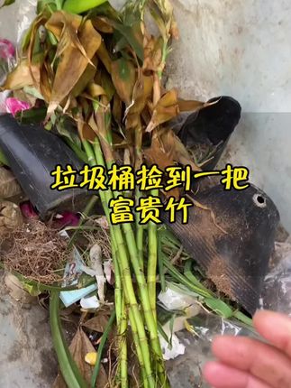 植物根系弱。快用营养液试试,瓜果花卉都能用,灌根喷叶,省心方便