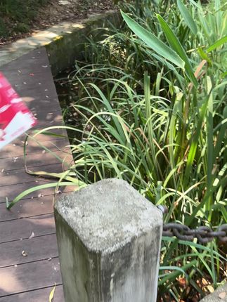 “赶时间早餐怎么吃?撕开一瓶A2奶,搭配面包秒变精致早餐!