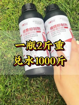 农作物黑根烂根根系发臭,这个根腐抑制剂一定要看看,包地种植大户都在用!#水溶肥料#微生物菌剂