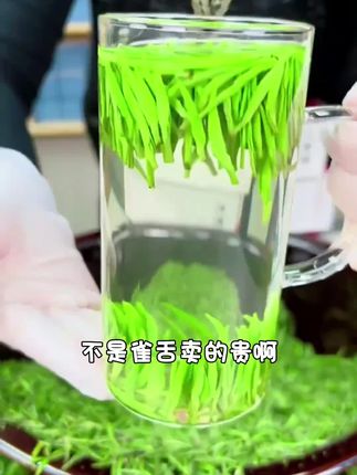 特级雀舌2025新茶正宗湄潭芽茶毛尖贵州高山浓香型明前特级茶叶