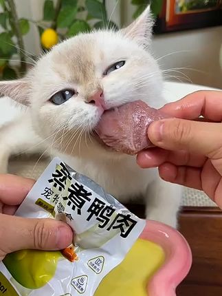 养猫人赶紧薅鸭小胸大羊毛新品活动9_9到手八包猫咪嘎嘎爱吃_养猫人 _猫零食 _新手养猫