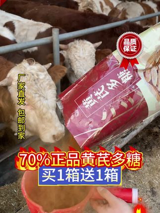 买黄芪送国标板青了,养殖人注意啦#牛羊养殖#养殖场专用#养牛人