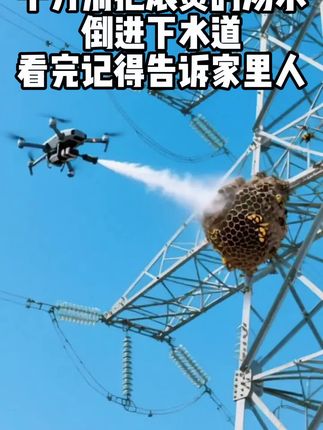 地漏小黑虫乱飞?泡泡粉深入管道灭虫卵,洗完澡再也不用拍虫子!#管道堵塞 #除异味 #杀虫