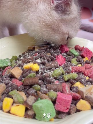 价格便宜的猫粮不少,但真正做到安全放心的真不多。0添加0防腐剂