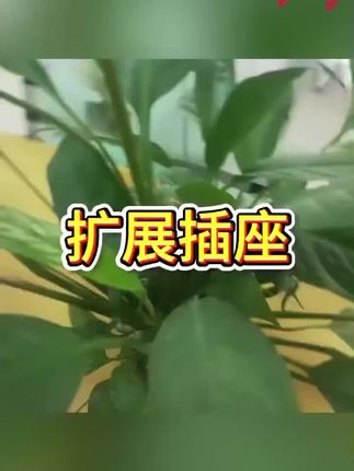 86型明装扩展插座,墙上固定原位替换,多孔设计满足多设备同时使用,安全便捷提升用电效率