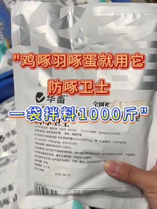 小鸡出现爱啄,啄羽啄肛应该怎么办#新农人计划#鸡鸭鹅养殖#蛋鸡