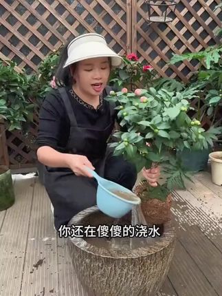 植物急救宝通用型鲜花绿植花卉盆栽防治解决烂根黄叶化水黑腐菌剂