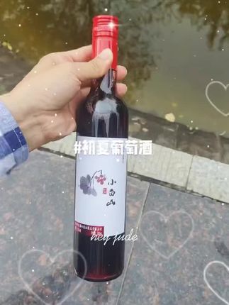 小白山甜红山葡萄酒微醺果味红酒女生低度甜酒网红果酒