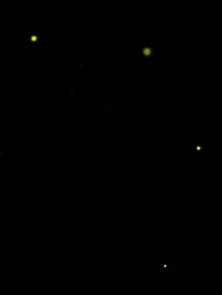 #二年级语文 学好语文,有这一套语文专项练习就够了,#看拼音写词语 #课文内容填空 #句子训练 #阅读理解