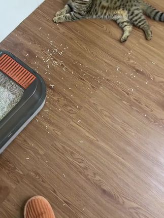 4 有了这个便宜好用的控砂垫,再也不用扫猫砂了,家里也更干净了~#控砂垫 #猫砂垫 #萌宠好物 #养猫好物 #科学养宠攻略
