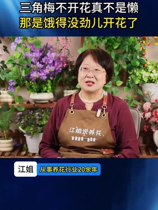 养花想要开花多,那就用它 #开花粉 快把家里的植物都安排上