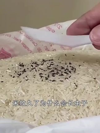 让家里五谷杂粮大米不生虫的简单方法就是把这个粮食防虫包扔进去即可#粮食防虫#粮食防虫料包#好物推荐