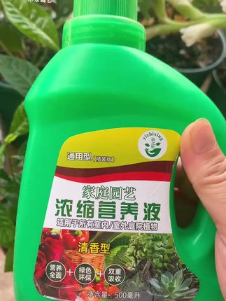 黄叶不开花,学会这招花開爆满盆!枝繁叶茂