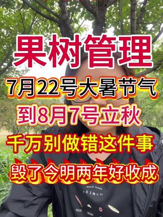 果树花芽分化宝果树促进花芽分化保花保果增产增收叶面肥,#农业#种植 #果树