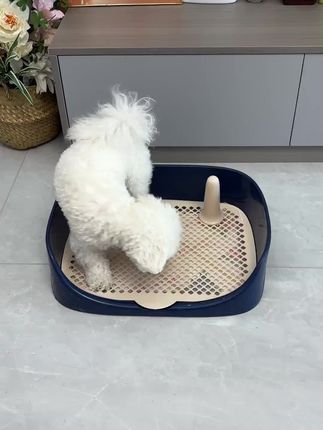 狗狗厕所小型中型犬大号尿盆尿盘狗尿尿便便神器专用宠物用品大全